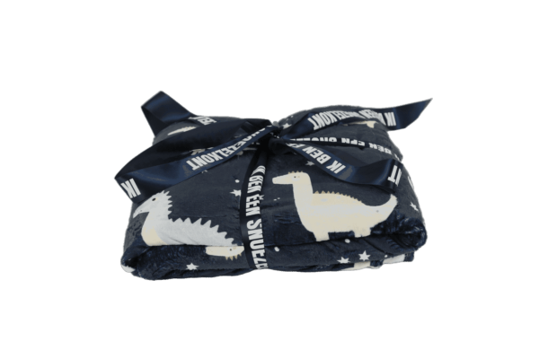 XXL Fleece deken - Print Dino - 300 x 300